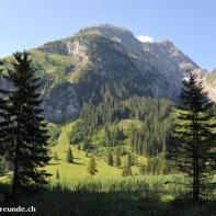 Lauenensee im Berner Oberland 072.jpg